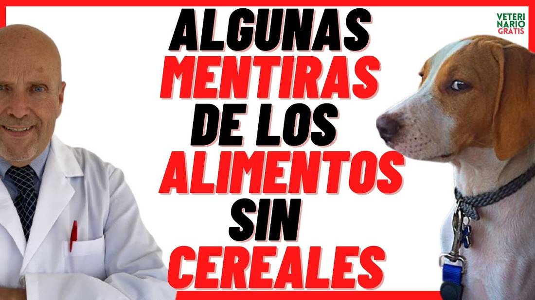 Algunas  MENTIRAS de los ALIMENTOS (Piensos o Croquetas) SIN CEREALES  BUENOS para PERROS.