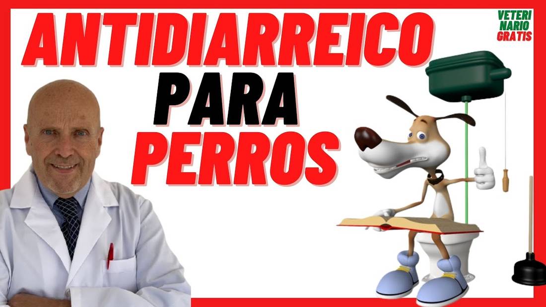 Antidiarreico PRO-ENTERIC Triplex  Para Conejos, Perros y Gatos con Probióticos para la Diarrea