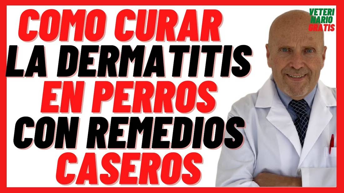 Como curar y tratar la dermatitis Atópica o Alérgica en Perros  con Remedios Caseros Naturales