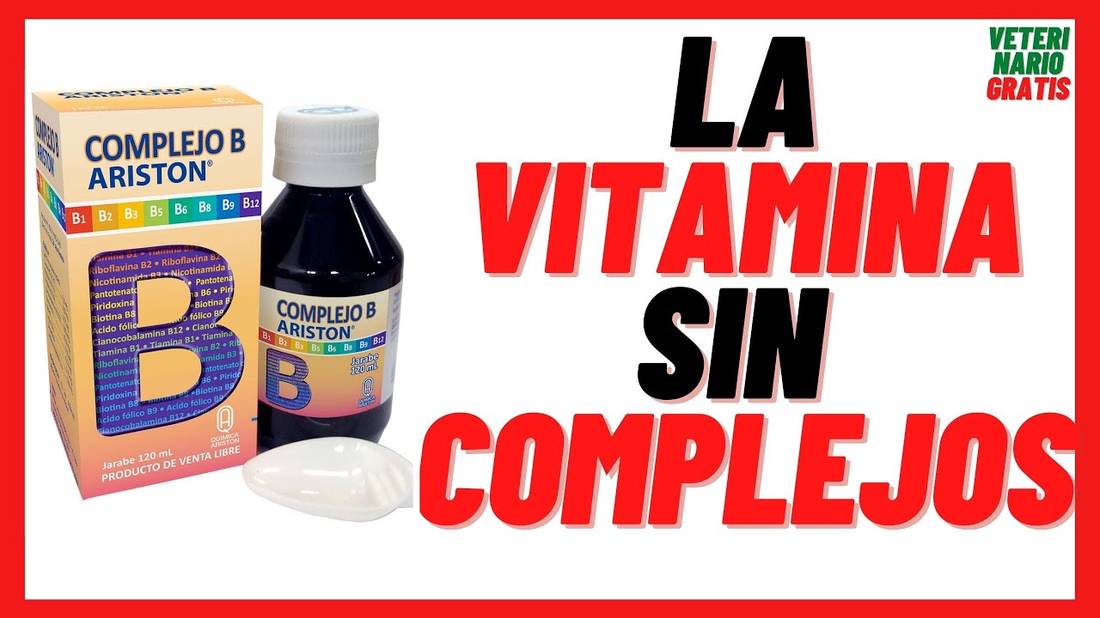 COMPLEJO B (Vitamina B y B12) para PERROS  con ANEMIA y MOQUILLO Dosis, Precio, Usos, Beneficios