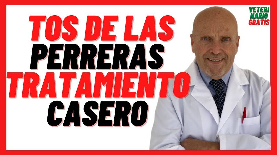 Tos de las PERRERAS Tratamiento CASERO  Remedios Caseros y Naturales para la Tos en Perros