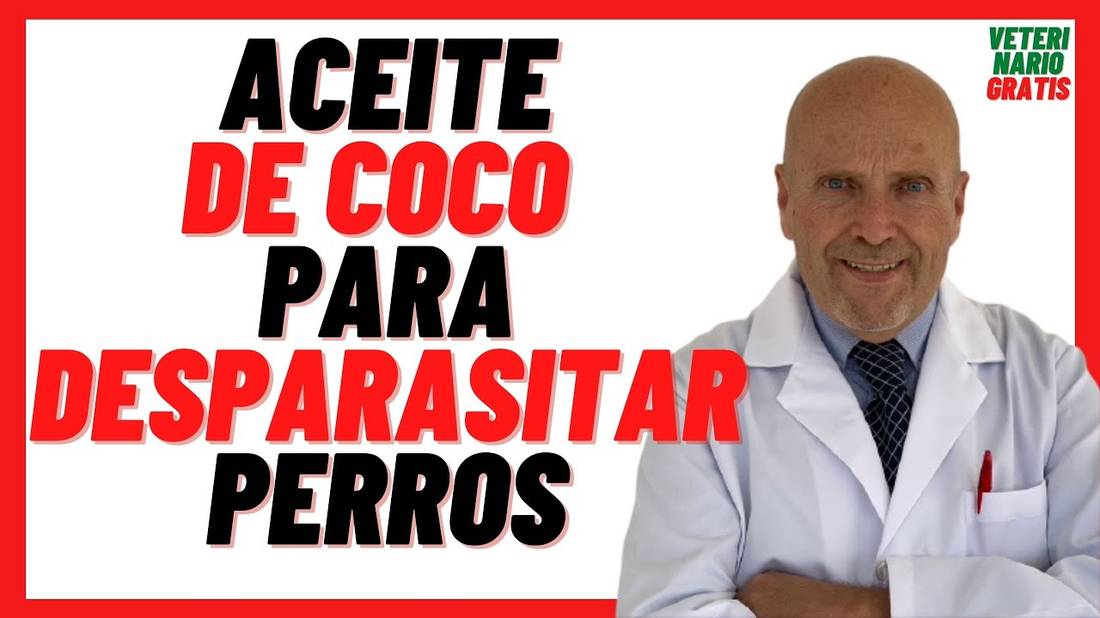 ACEITE DE COCO para Desparasitar PERROS  Cachorros INTERNAMENTE de Forma Natural