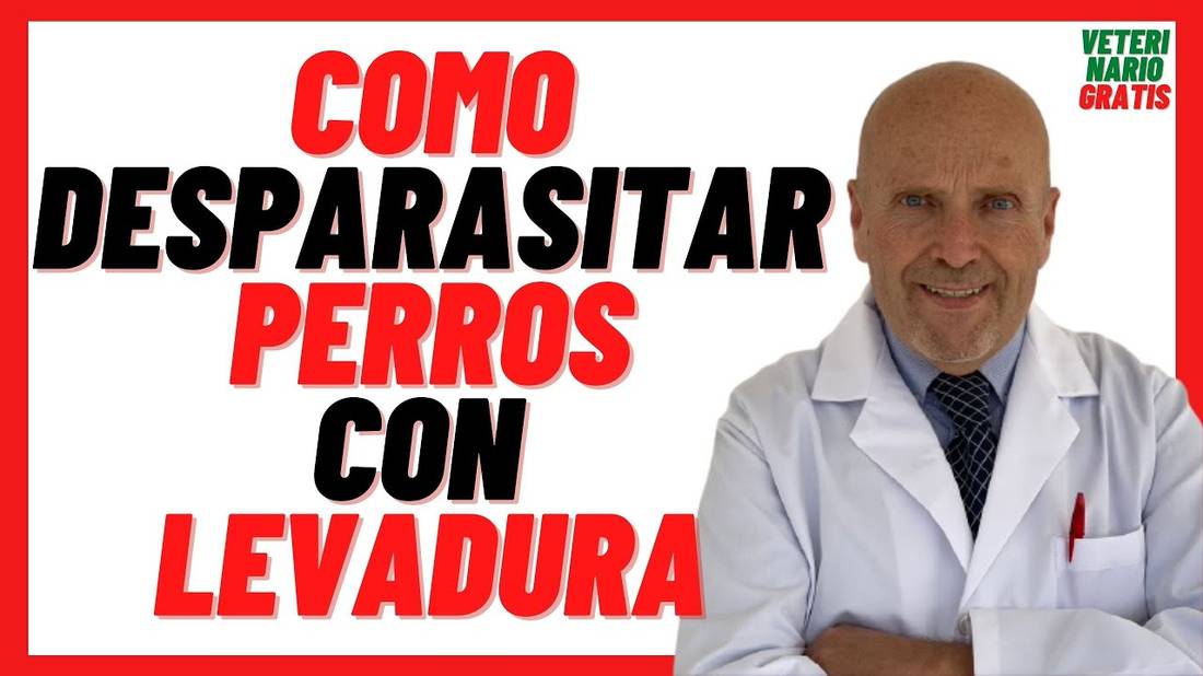 Levadura de Cerveza para Desparasitar Perros Adultos y Cachorros Externamente