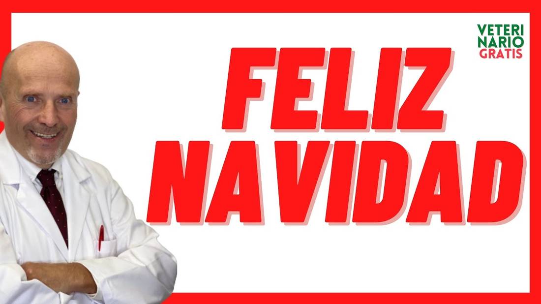 FELIZ NAVIDAD  (VETERINARIO GRATIS)