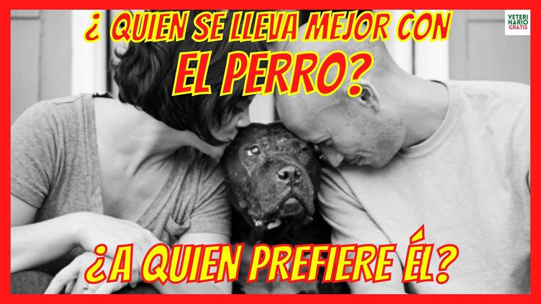 ¿QUIEN SE LLEVA MEJOR CON LOS PERROS?  LOS HOMBRES O LAS MUJERES?