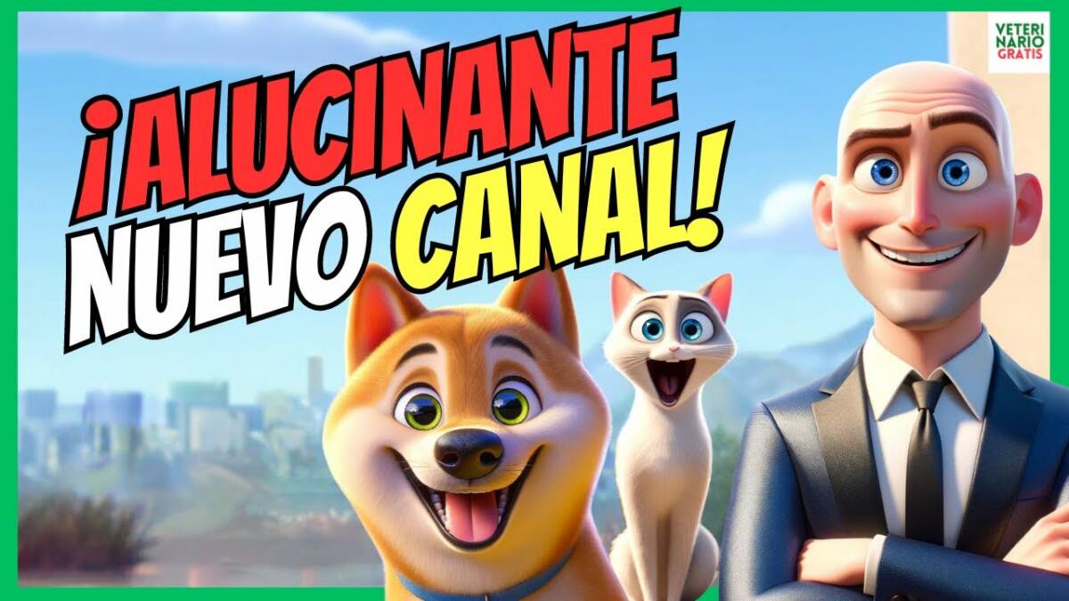 Nuevo canal de youtube ¿que comen los animales? veterinario gratis