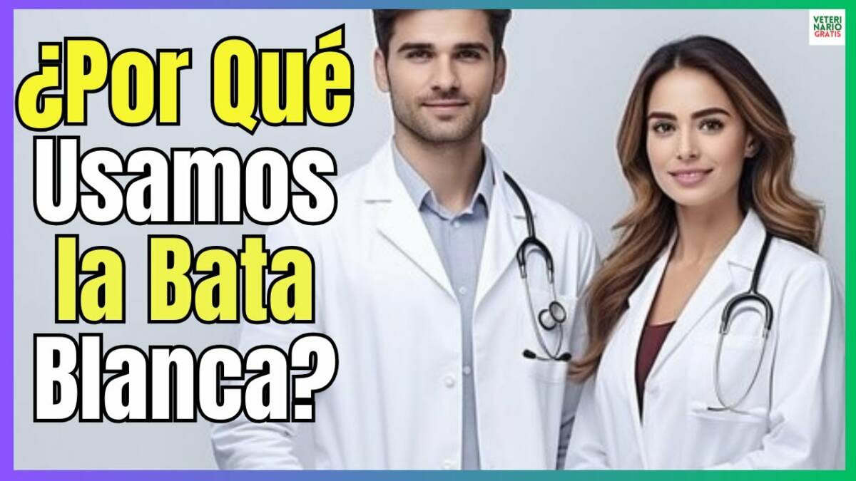 ¿POR QUE LOS MÉDICOS Y VETERINARIOS USAN BATAS BLANCAS?