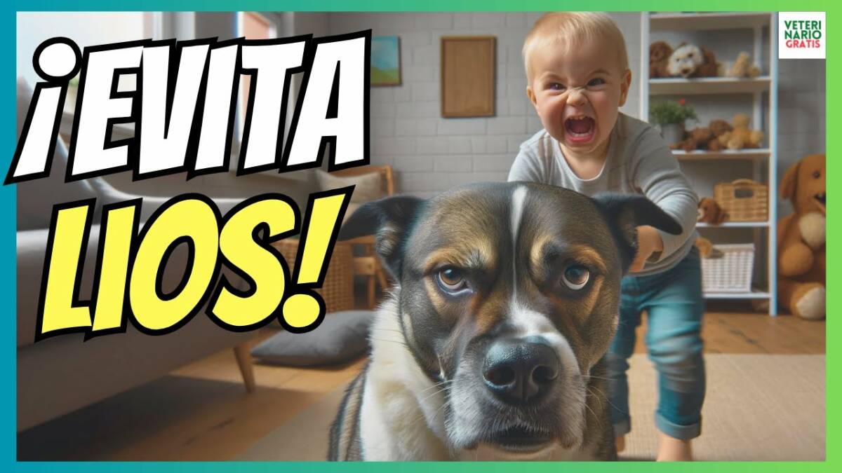 ¿COMO EVITAR ACCIDENTES Y SITUACIONES PELIGROSAS CON PERROS Y NIÑOS?