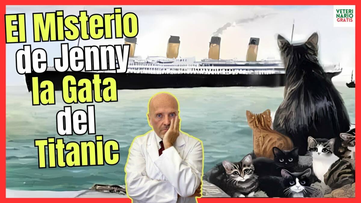 EL MISTERIO DE JENNY LA GATA QUE PREDIJO EL HUNDIMIENTO DEL TITANIC