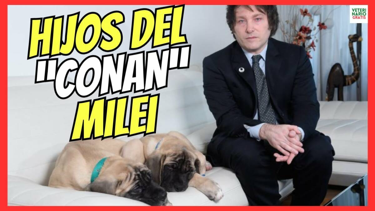 ¿COMO SON LOS PERROS CLONADOS DE JAVIER MILEI?