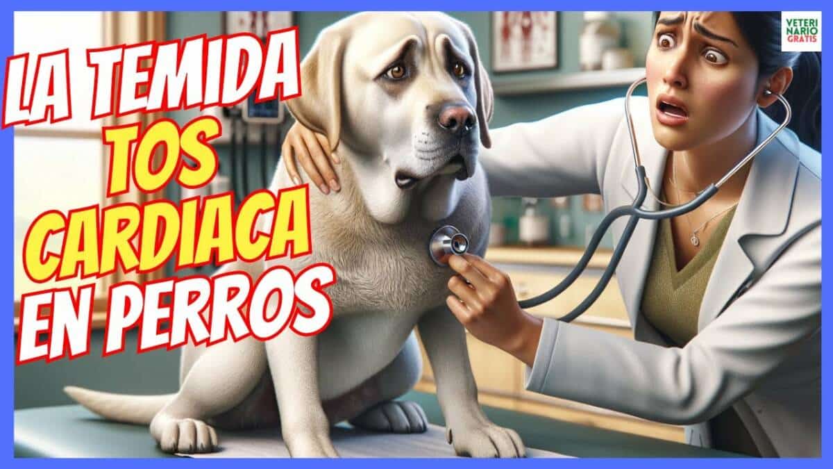 LA TEMIDA TOS CARDIACA EN PERROS CAUSAS Y SÍNTOMAS