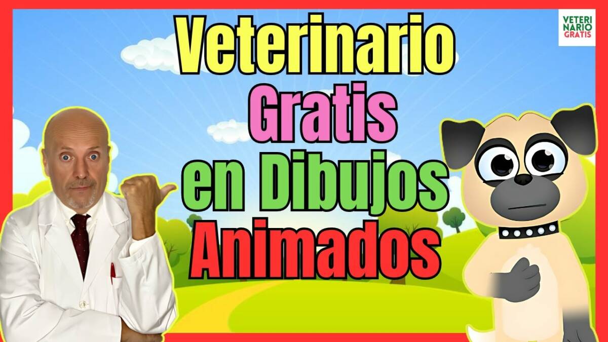 VETERINARIO GRATIS EN DIBUJOS ANIMADOS Canal de YOUTUBE PARA NIÑOS