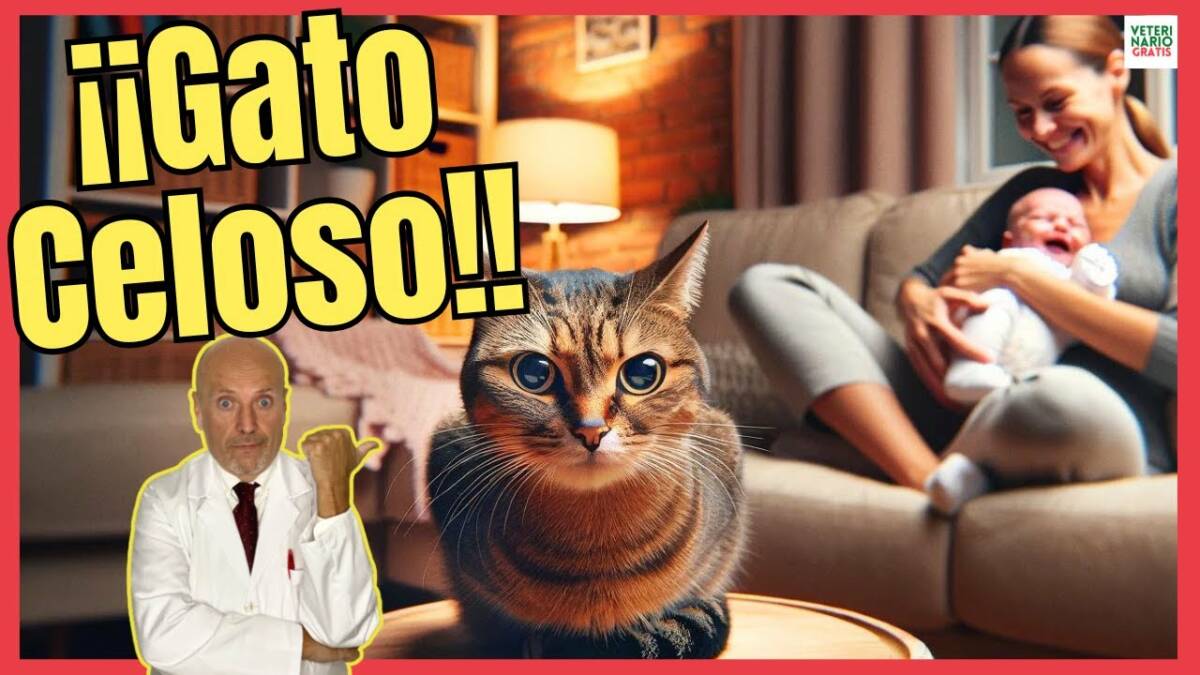 ¿CÓMO CALMAR A UN GATO CELOSO?