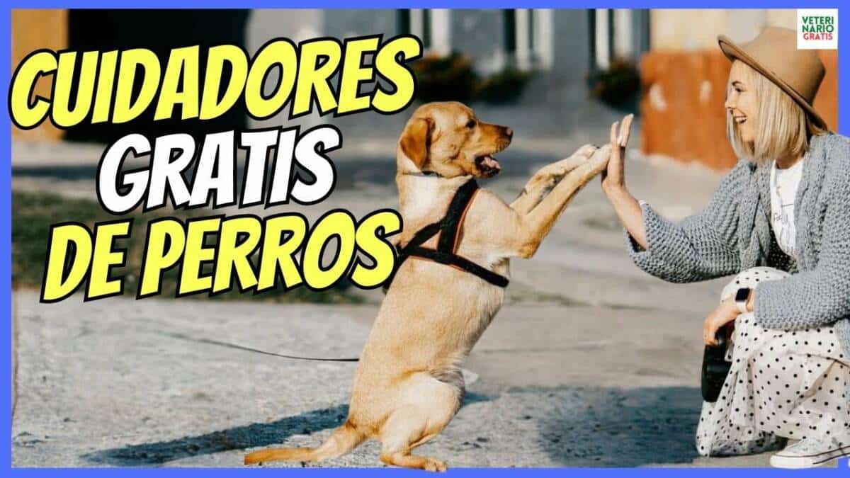 PRESTAME A TU PERRITO CUIDADORES DE PERROS GRATIS