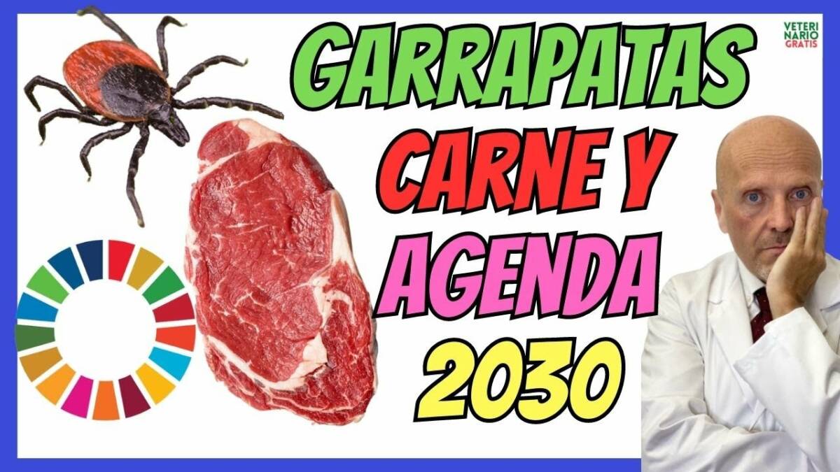 ALERGIA ALIMENTARIA A LA CARNE POR PICADURA DE GARRAPATAS Y AGENDA 2030