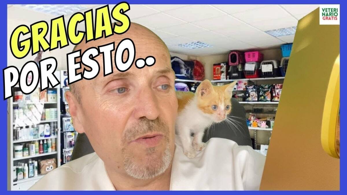 GRACIAS POR HACER POSIBLE QUE EL CANAL DE YOUTUBE VETERINARIO GRATIS SUPERE EL MILLÓN DE SUBS