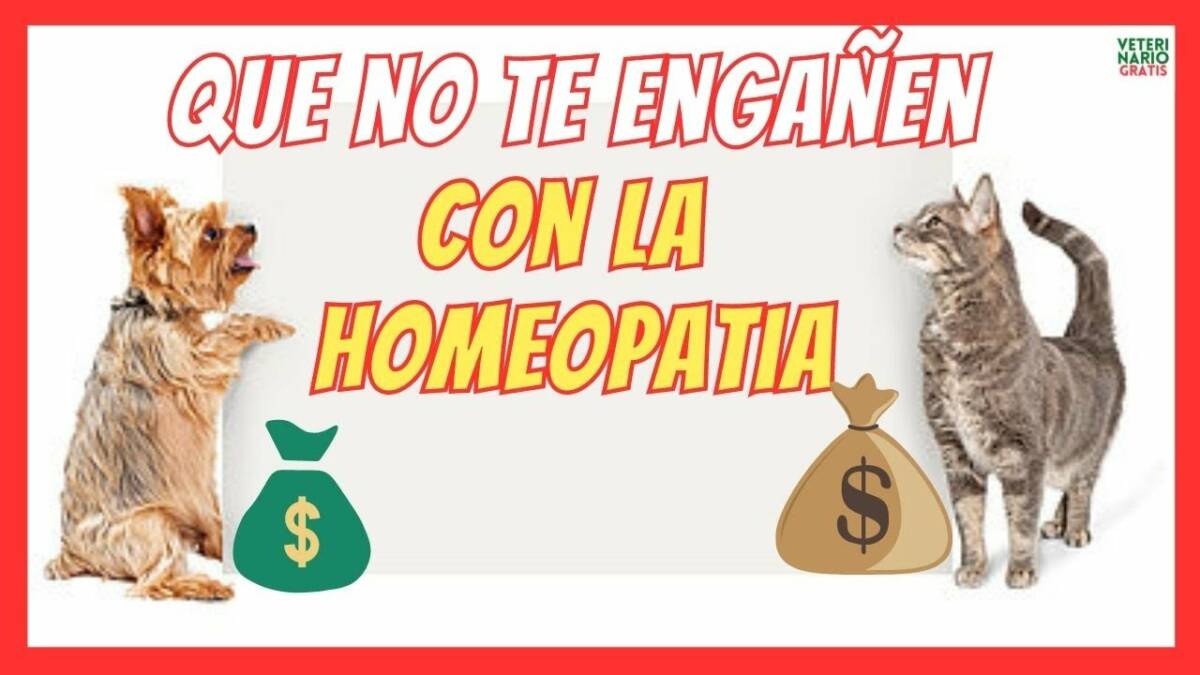 LA MENTIRA DE LA HOMEOPATÍA¿QUE ES Y PARA QUE SIRVE DE VERDAD EN PERROS Y GATOS?