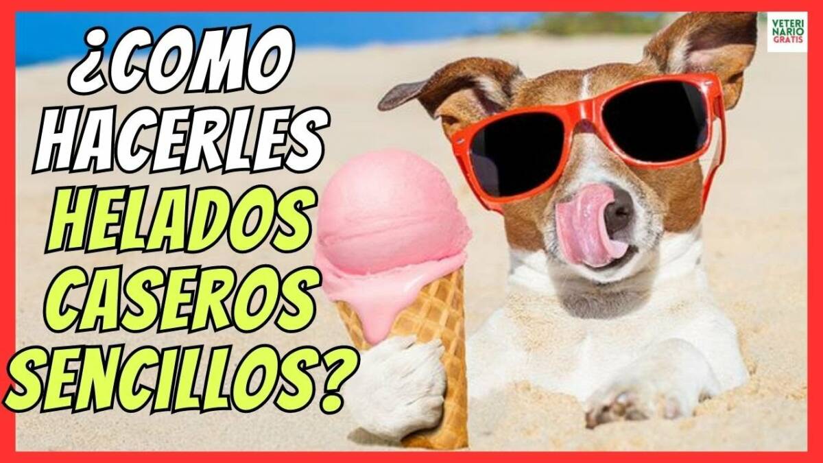 ¿CÓMO HACER HELADOS PARA PERROS SENCILLOS Y SALUDABLES?de Frutas, Pollo, Verduras..