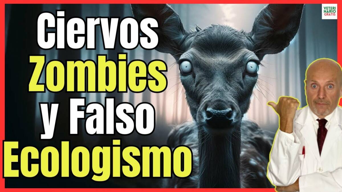 CIERVOS ZOMBIES LA ENFERMEDAD QUE CAUSA EL FALSO ECOLOGISMO