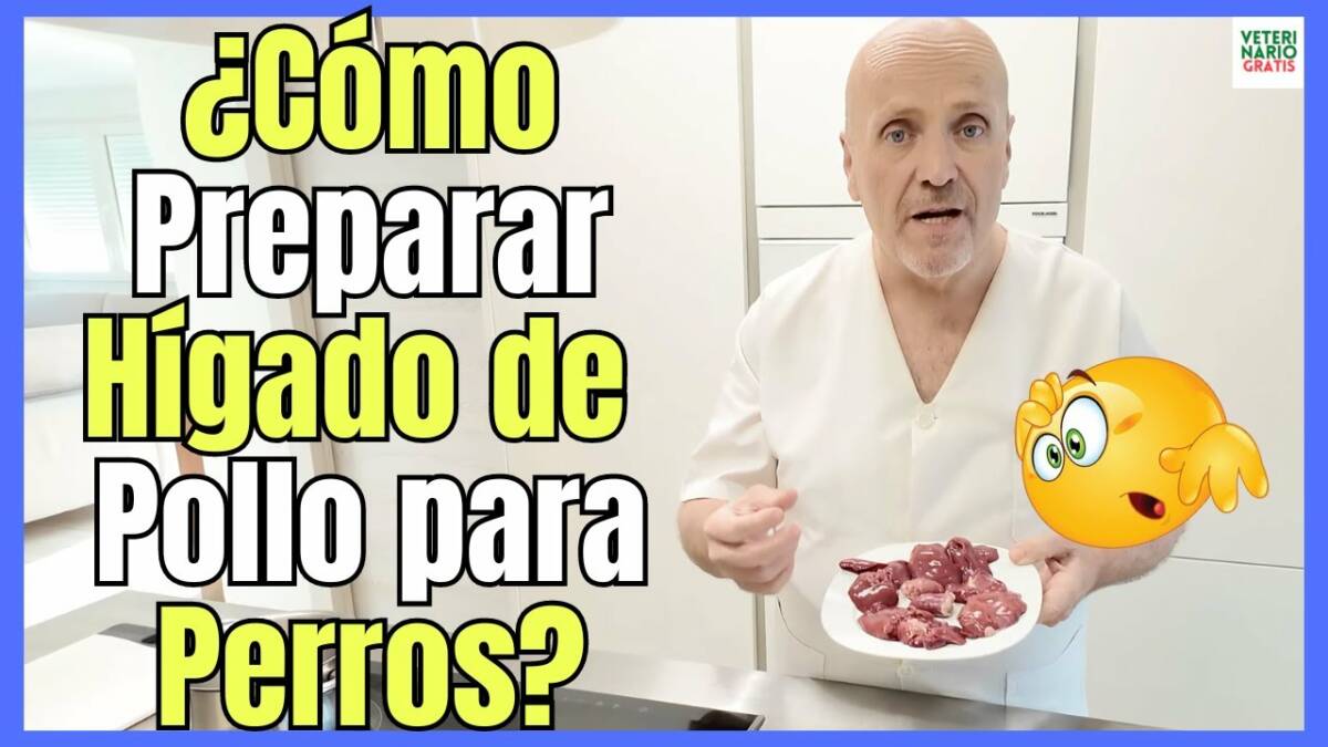 ¿COMO PREPARAR HÍGADO DE POLLO PARA PERROS? más Recetas en la DESCRIPCIÓN