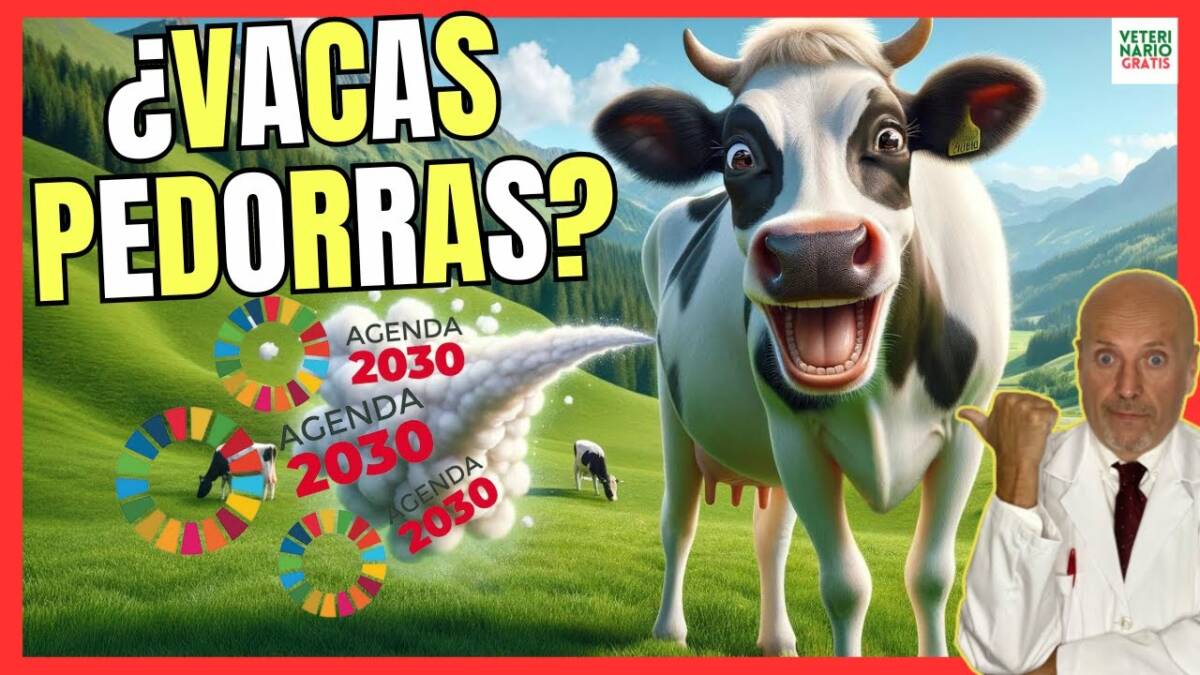 CAMBIO CLIMÁTICO Y LA FALACIA DE LOS GASES DE LAS VACAS DE LA AGENDA 2030