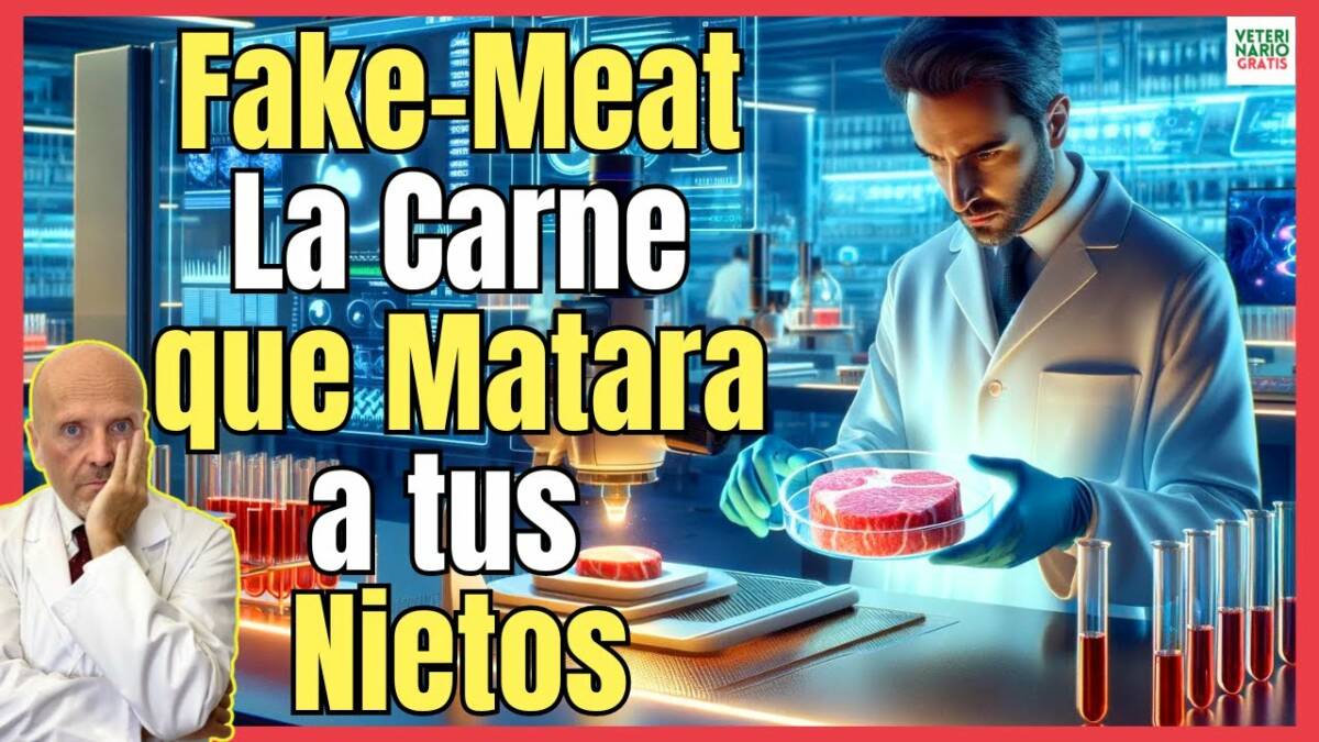 FAKE MEAT, LA CARNE ARTIFICIAL O FALSA CARNE DE LABORATORIO Y TODOS SUS RIESGOS AGENDA 2030