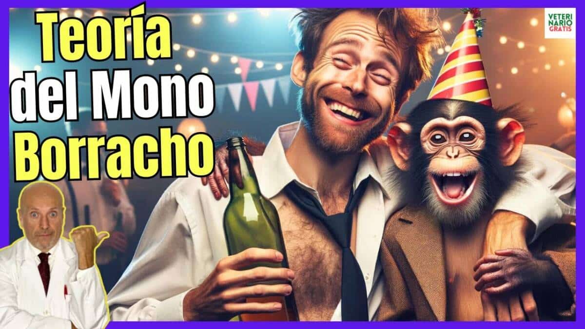 TEORÍA DEL MONO BORRACHO, ORIGEN DE LAS PRINCIPALES CAUSAS DEL ALCOHOLISMO