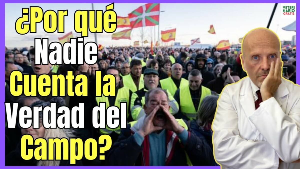 ¿POR QUÉ NADIE CUENTA LA VERDAD DEL CAMPO EUROPEO Y ESPAÑOL?