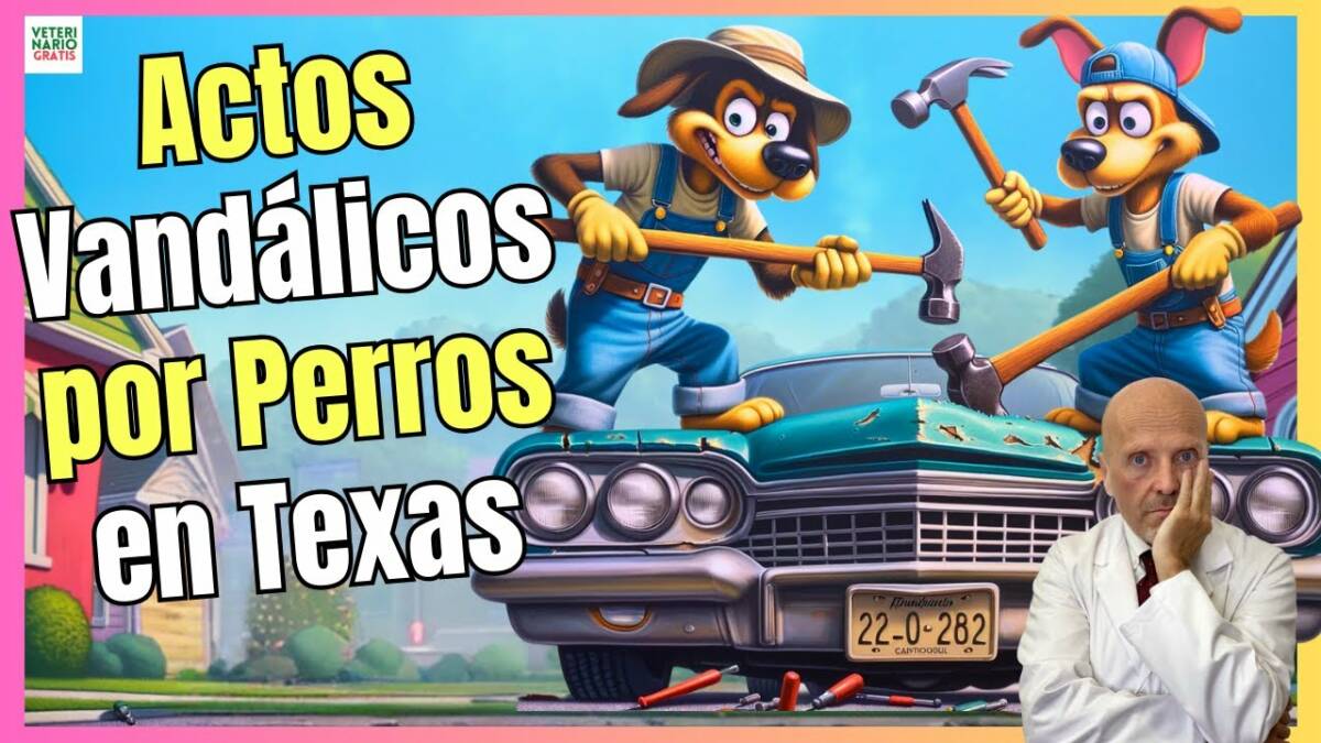 EL EXTRAÑO CASO DE LOS PERROS DESTRUCTORES DE COCHES EN TEXAS