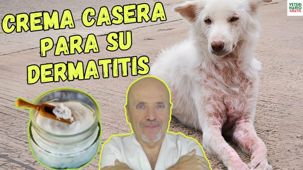 Crema casera para perros con dermatitis