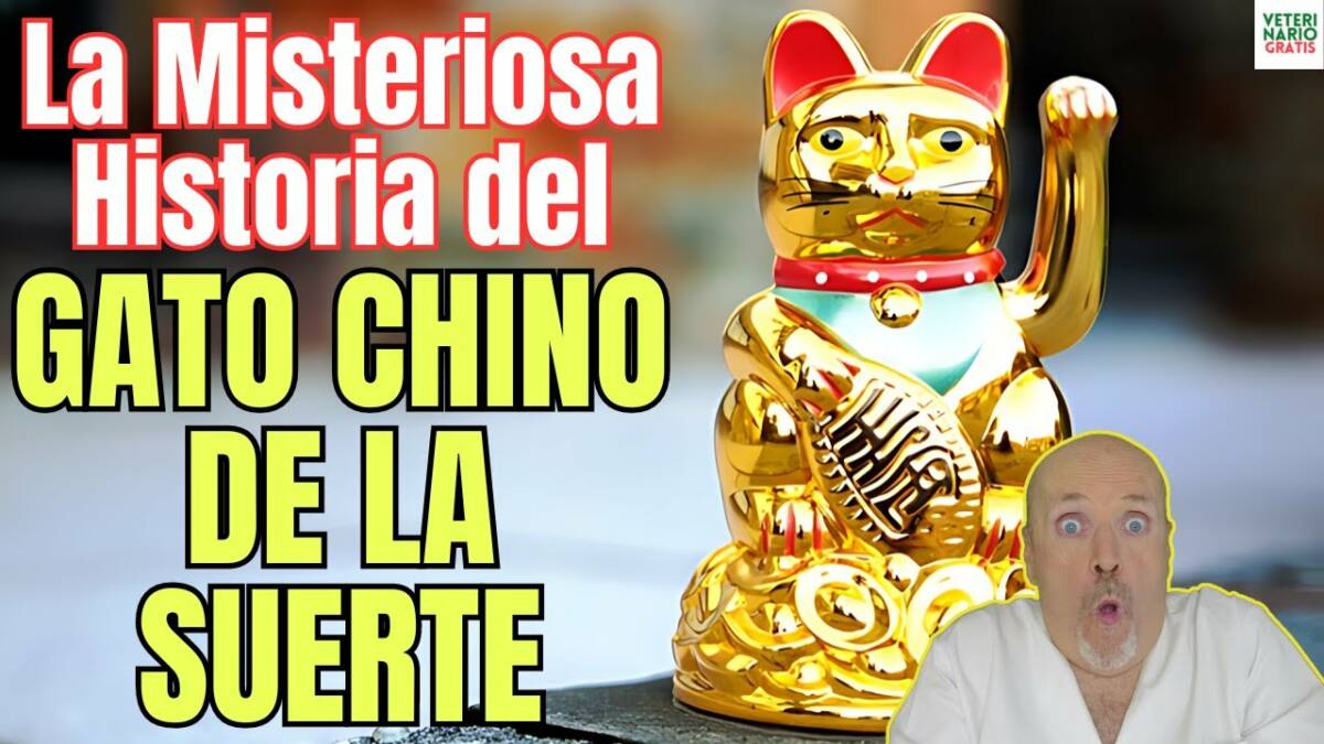 La misteriosa historia del gato chino de la suerte maneki neko y su significado