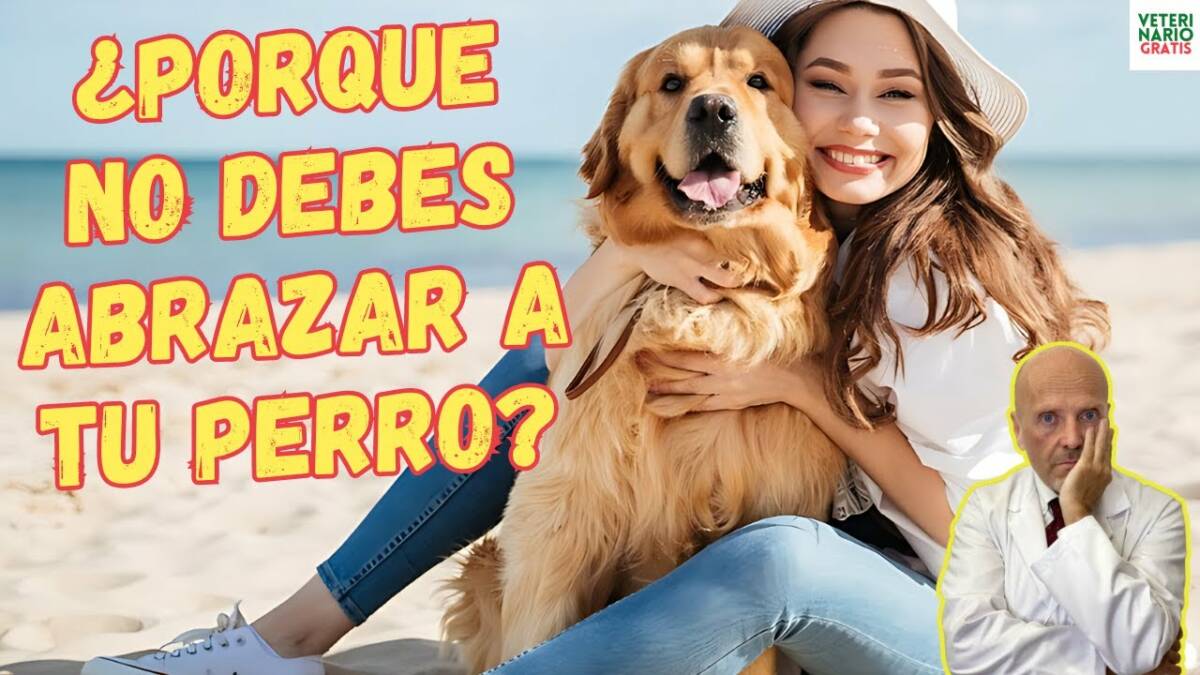 Razones por las que no debes abrazar a tu perro