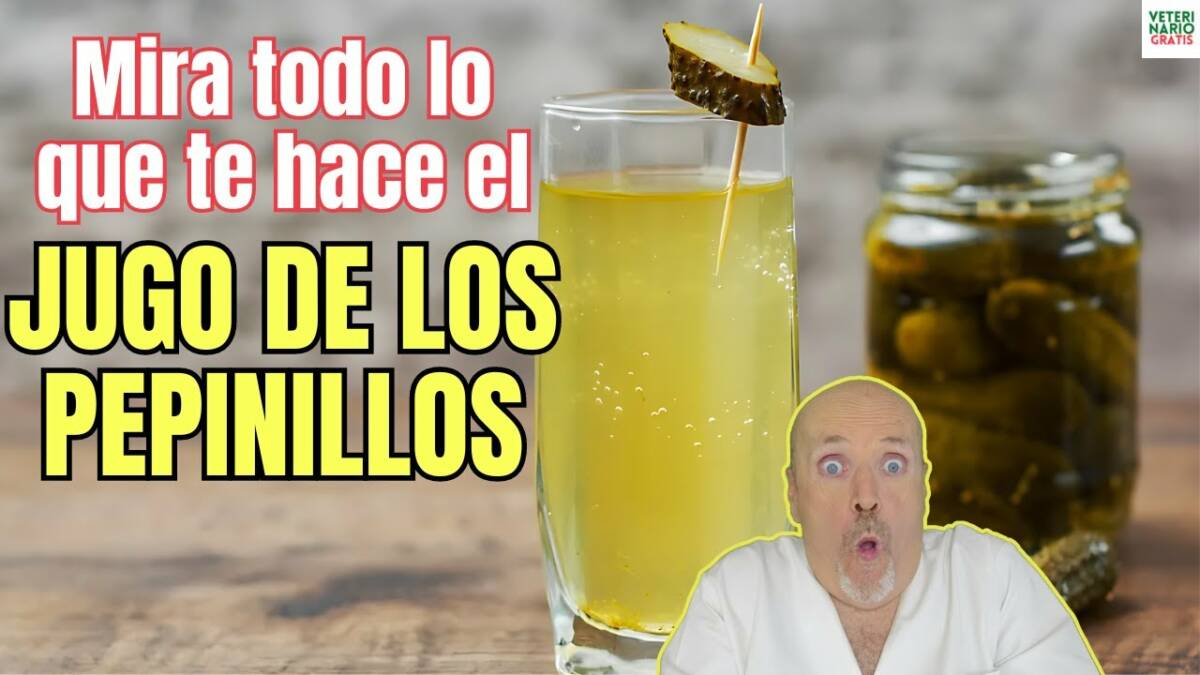 Como tomar jugo de pepinillos para los calambres resaca etc