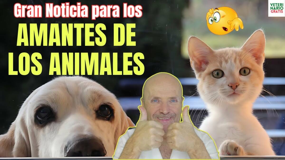 Los amantes de los animales estan de enhorabuena