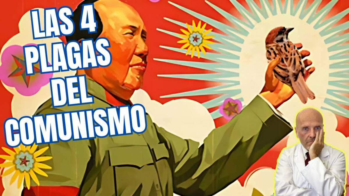 Las 4 plagas del comunismo y la gran hambruna china