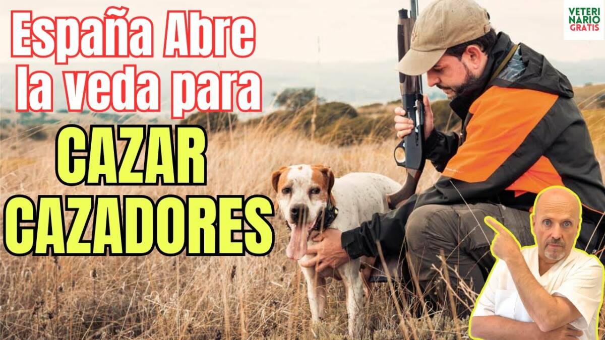 Porque la ley de bienestar animal facilita la caceria a cazadores