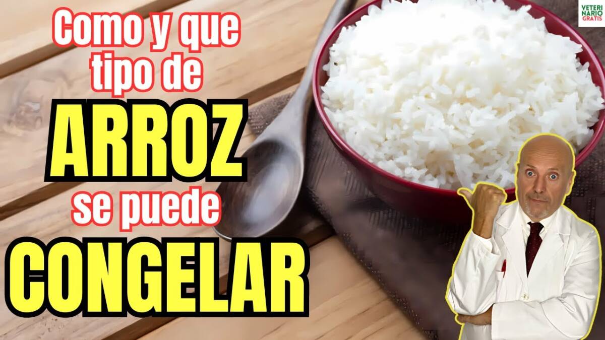 El arroz se puede congelar como que tipo de arroz congelar