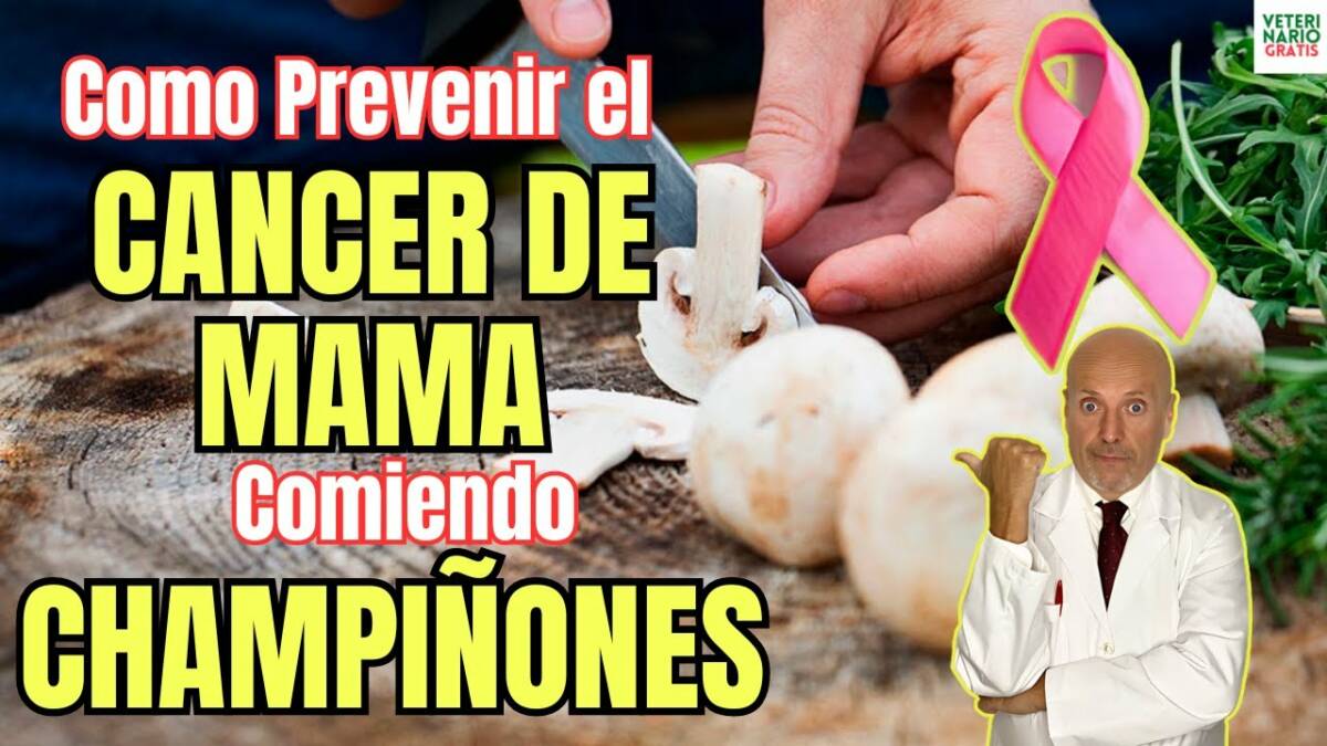 Como prevenir el cancer de mama comiendo champinones