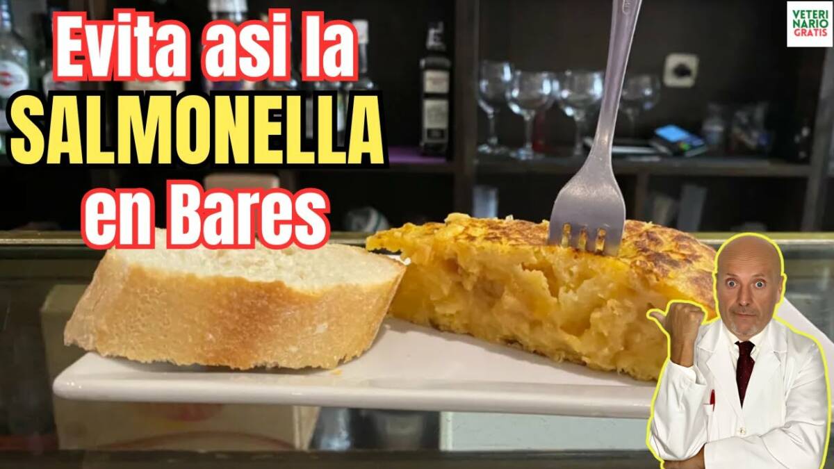 Como evitar la salmonella en bares restaurantes y en casa