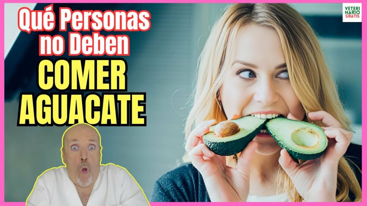 Que personas no deben comer aguacate