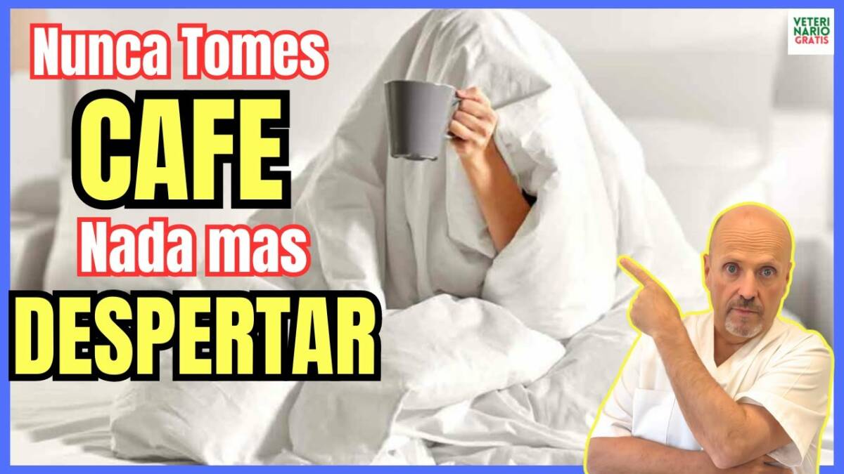 Porque es malo tomar cafe nada mas despertar