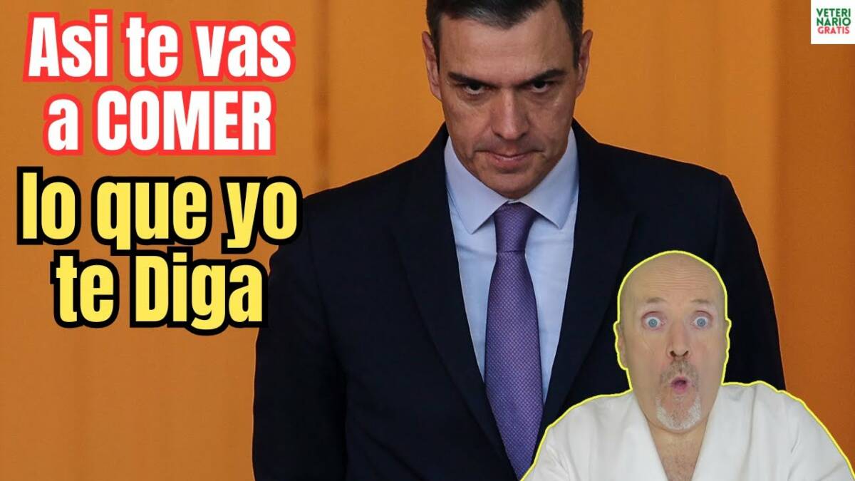 Pedro sanchez disena la nueva estrategia nacional de alimentacion para que dejes de comer carne