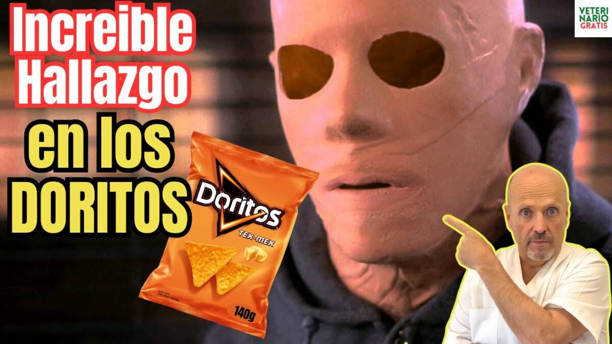 Increible hallazgo una sustancia presente en los doritos nos hace invisibles