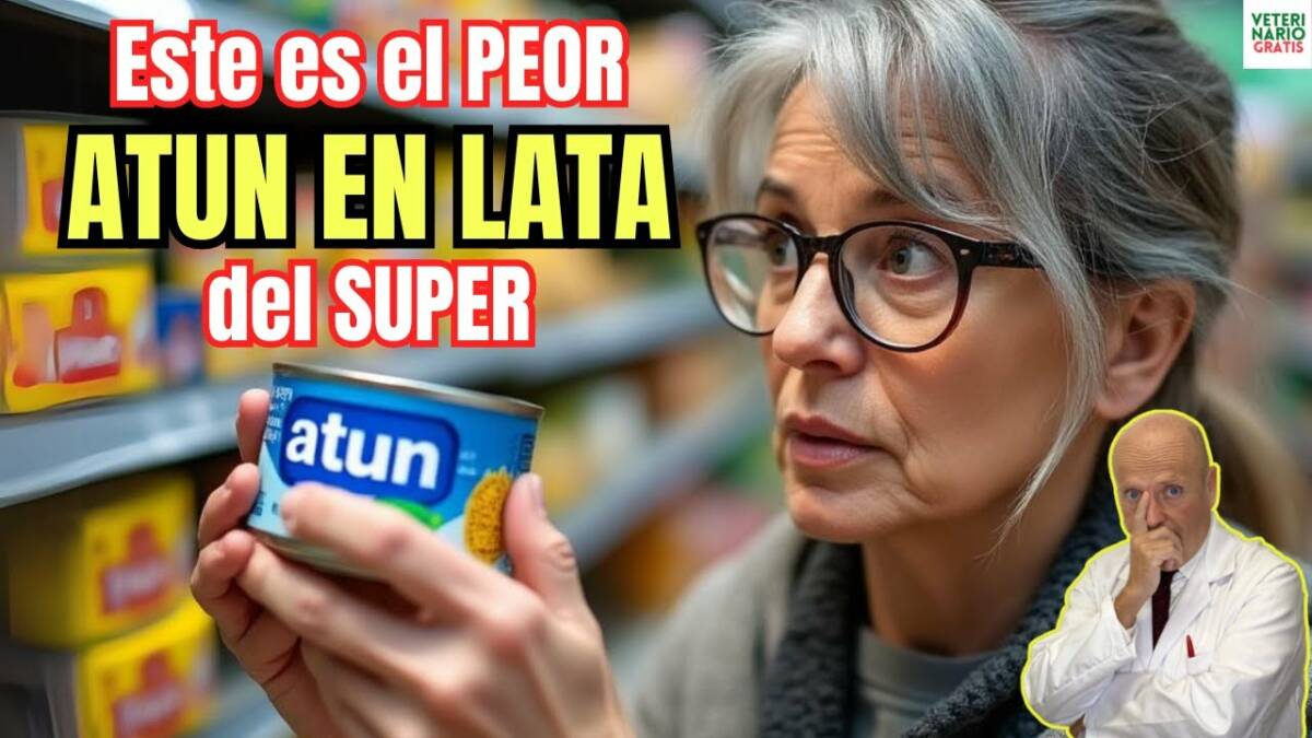 Cual es el peor y el mejor atun en lata de los super españoles