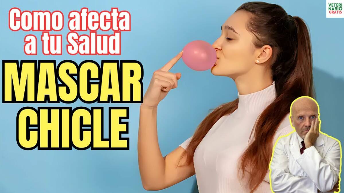 Mascar chicle es bueno o malo para la salud general de tu cuerpo