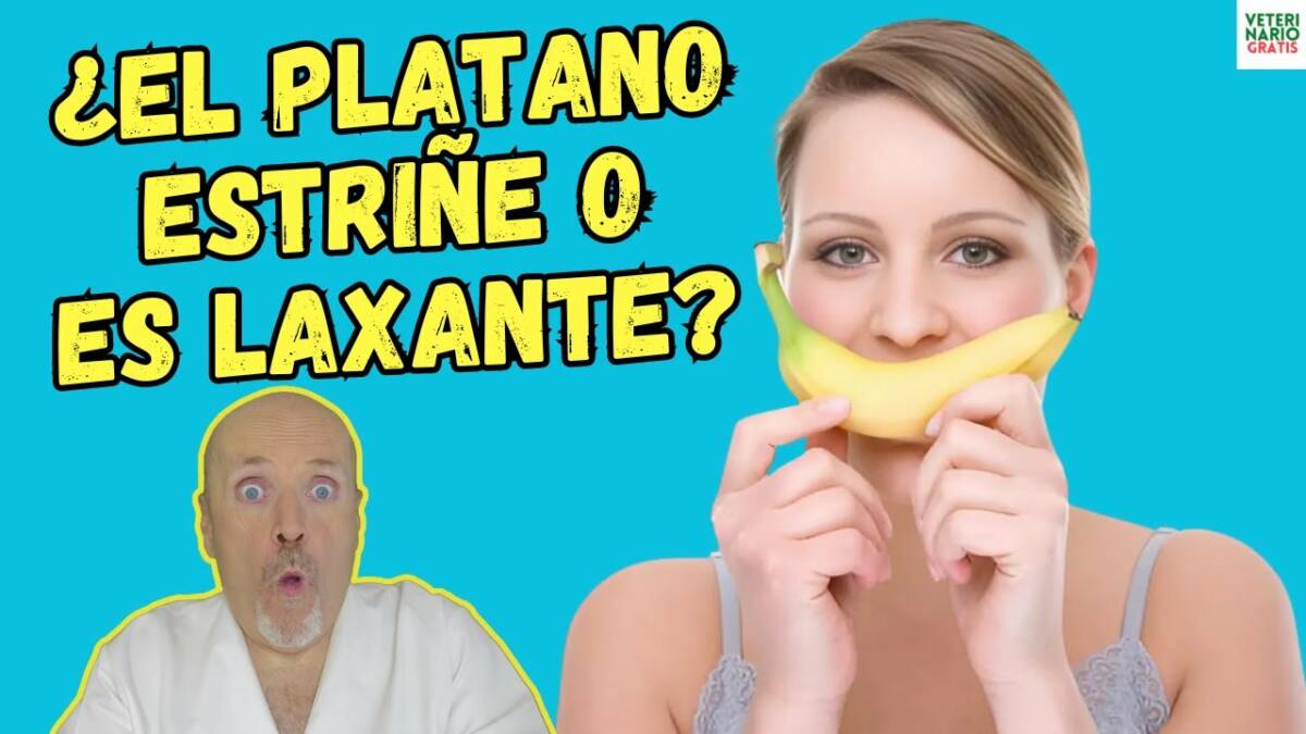 El platano estrine o es laxante la respuesta te sorprenderá