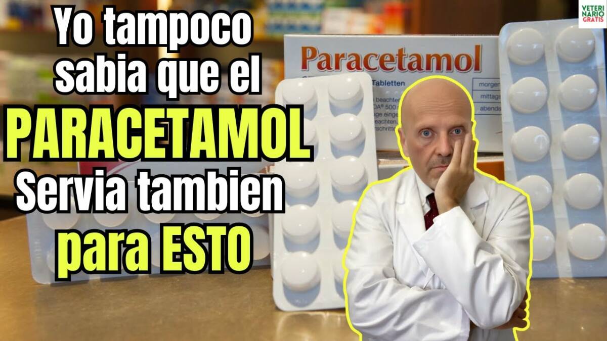 Alucinaras de saber para que sirve el paracetamol ademas de ser un medicamento