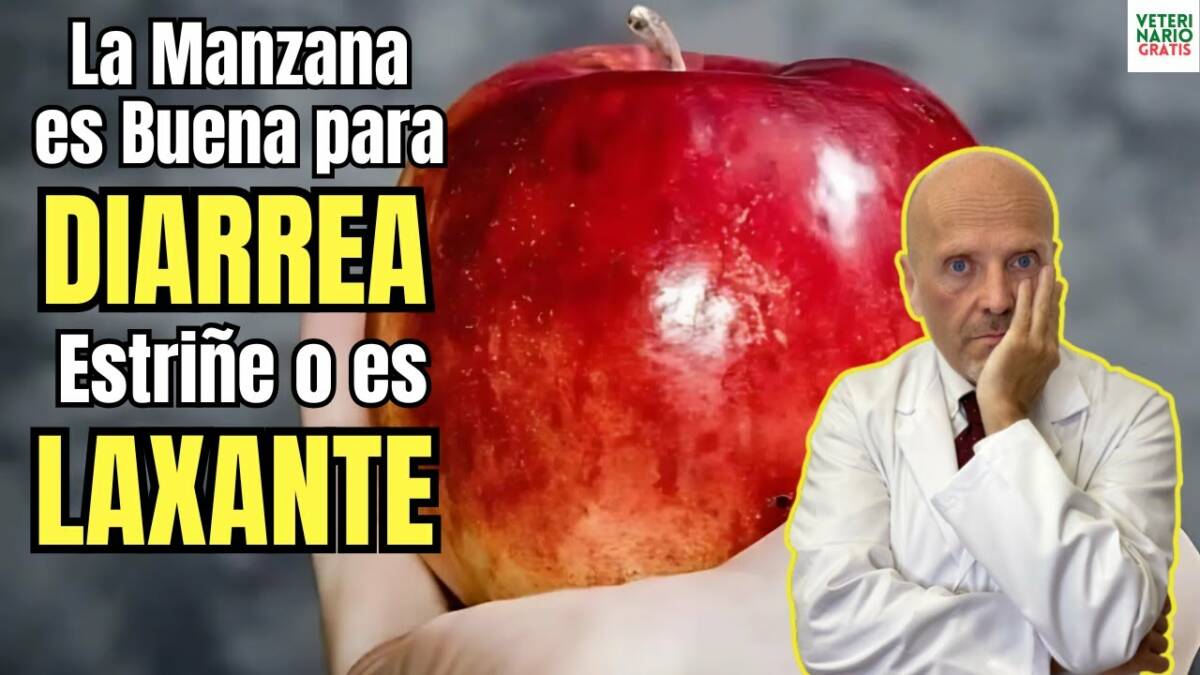 La manzana es buena para la diarrea extrine o es laxante