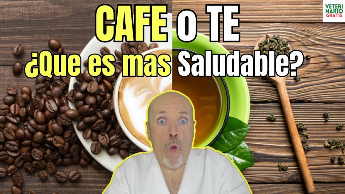 Que es mas saludable el cafe o el te