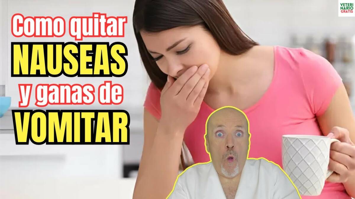 Como quitar las nausas y ganas de vomitar con remedios caseros